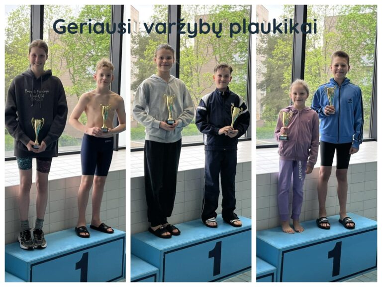 Vilijos baseino kvalifikacinės plaukimo varžybos